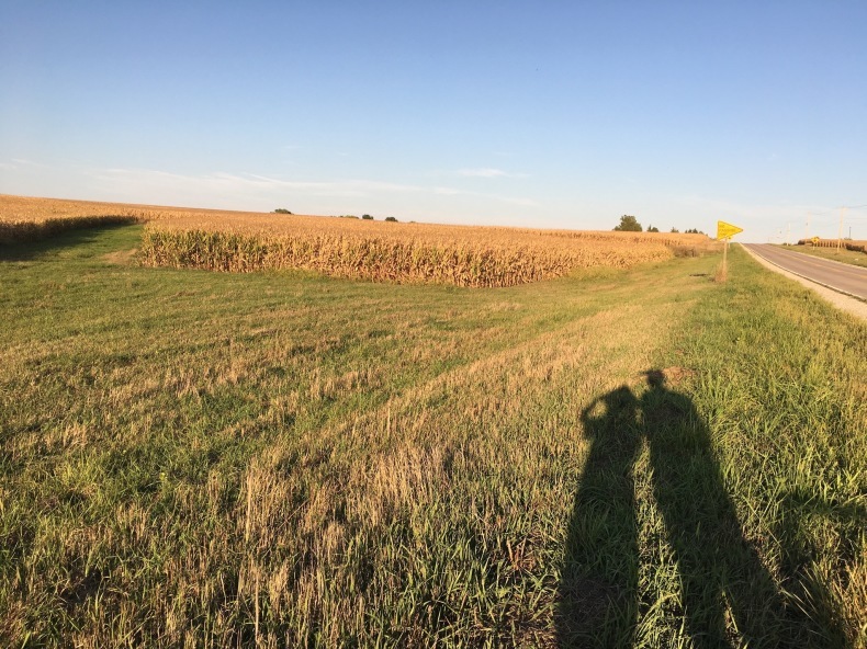 とうもろこし畑でつかまえて Iowa いわおの日々ing 夢見る頃がとっくに過ぎ去っても