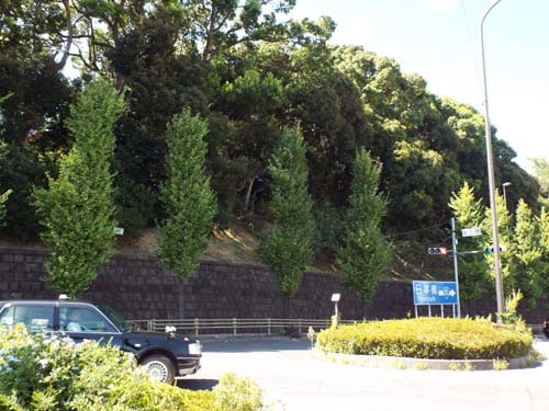 f0211178_19013986.jpg