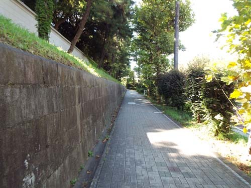 f0211178_19030925.jpg