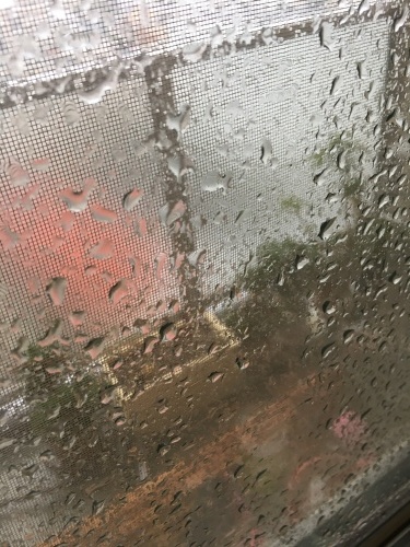 c0095679_18062576.jpeg