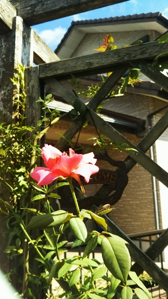 f0366679_16510896.jpg