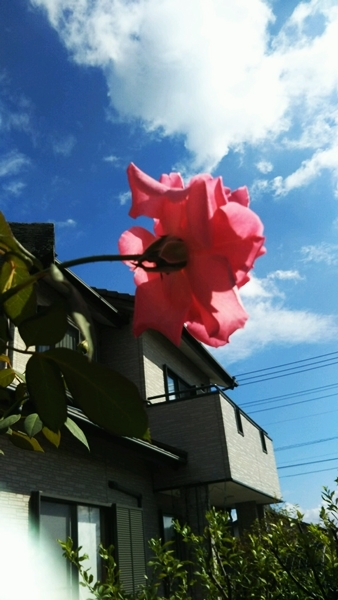 f0366679_16512276.jpg