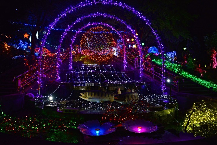 d0341880_07520256.jpg