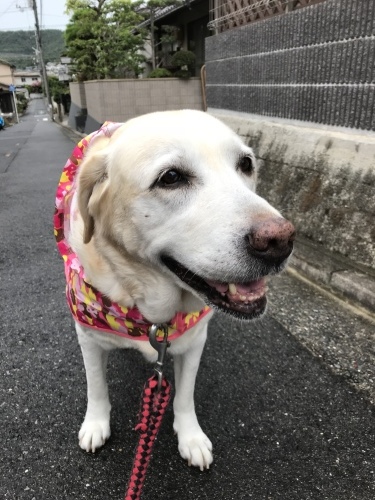 f0315081_17465834.jpeg