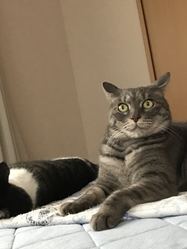 c0340786_23015342.jpeg