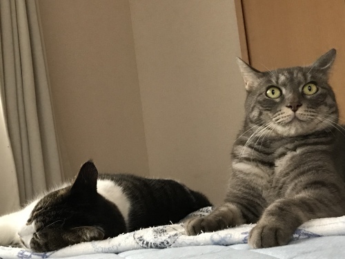 c0340786_23023280.jpeg