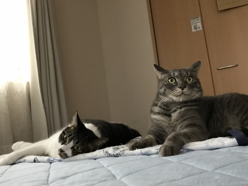 c0340786_23024689.jpeg