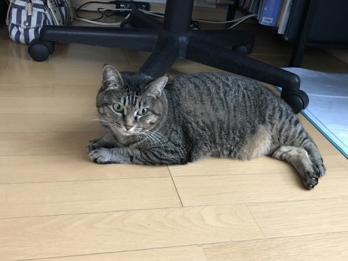 c0340786_23030024.jpeg