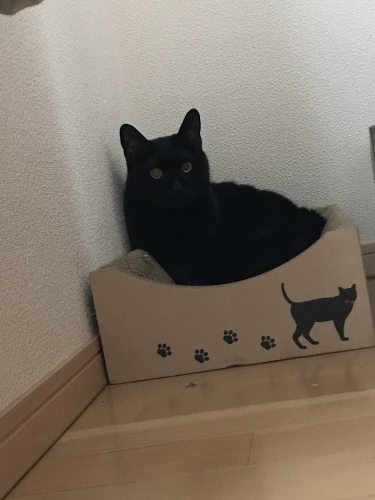c0340786_23032468.jpeg