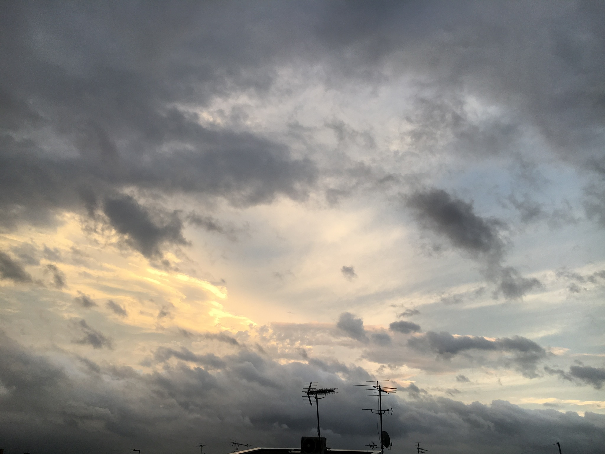 f0347891_20191380.jpeg