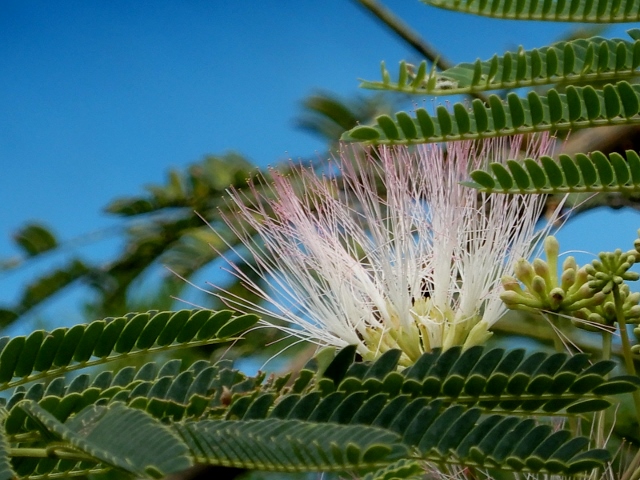 e0025300_1051711.jpg