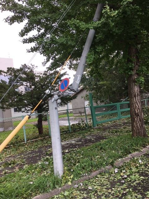 ★パストラルカーズ並びにニコニコレンタカー、通常営業再開いたしました★(白石店)_c0161601_18445248.jpg
