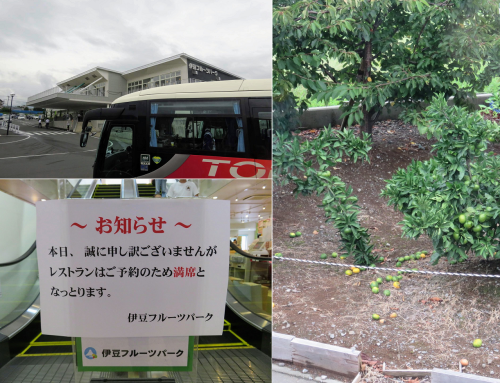 a0057402_07115803.png