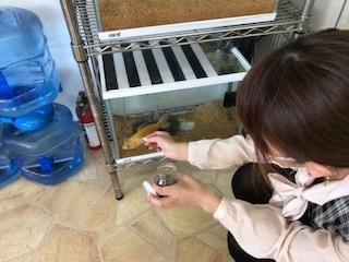 9月5日(水)☆TOMMYアウトレット☆あゆブログ٩(*´∀`*)۶ 自社ローン・ローンサポートのことならTOMMYまで☆_b0127002_16584833.jpg