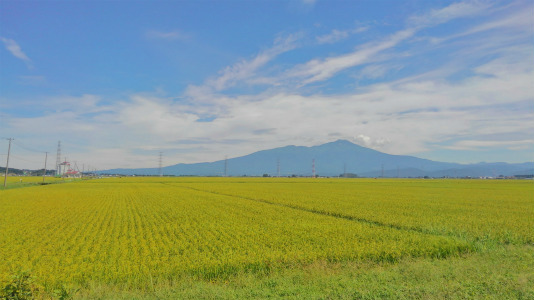 c0336902_21153750.jpg