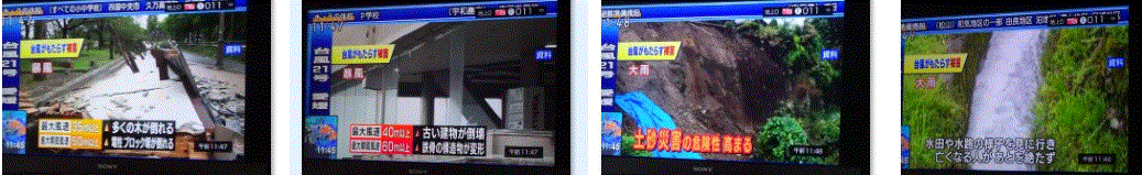 f0231709_10381584.gif