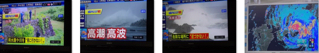 f0231709_10411895.gif