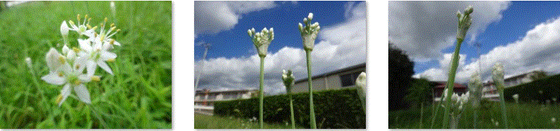 f0231709_11261515.gif