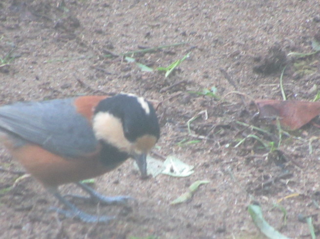 f0297809_19325032.jpg