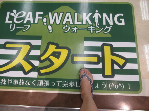 リーフウォーク稲沢でleaf Walking リーフウオーキング みつい 禮の演歌部屋