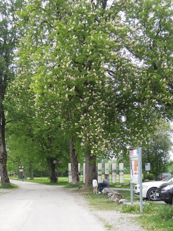 Oberammergau　6　（ベネディクトボイアーン修道院）_b0153213_18490641.jpg