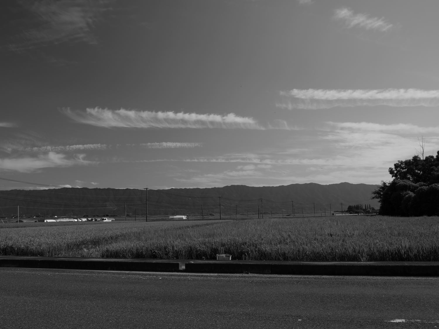 d0355116_20222000.jpg