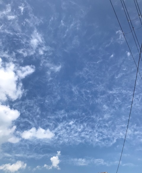 c0054118_22560135.jpeg