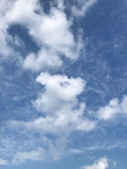 c0054118_22561407.jpeg