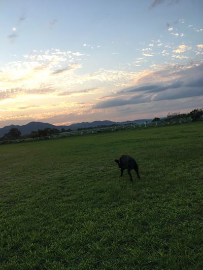c0114121_23210710.jpg