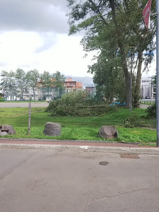 f0227321_12241660.jpg