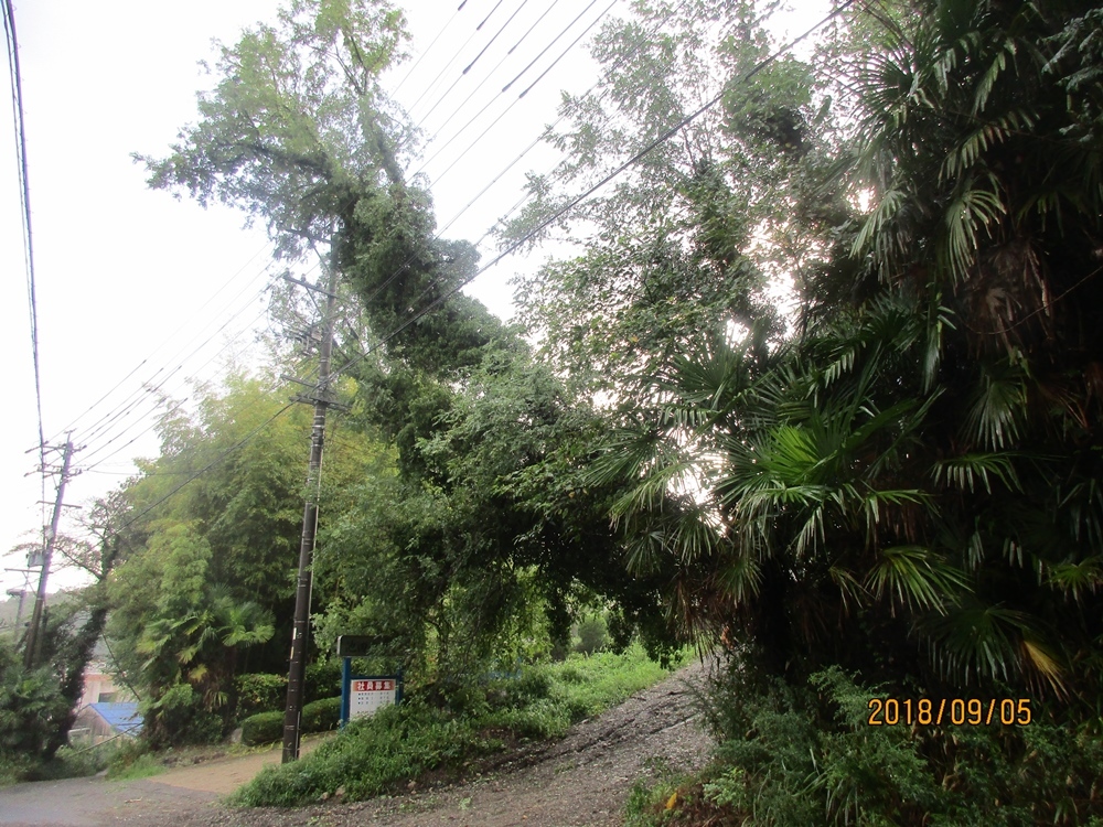 d0181824_10043547.jpg