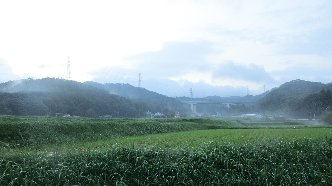 d0181824_10075663.jpg