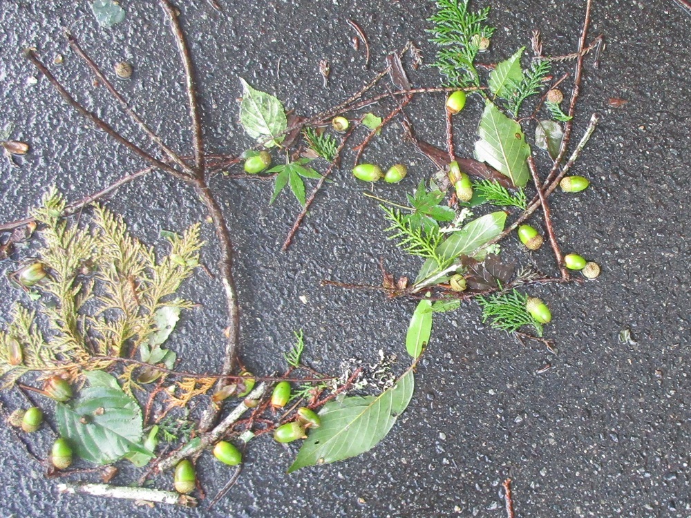 d0181824_10083940.jpg