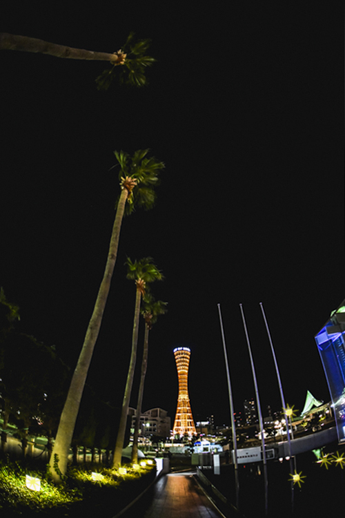 d0265224_21275383.jpg