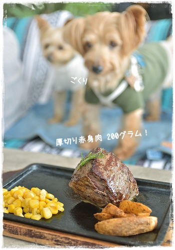 d0179828_00093398.png