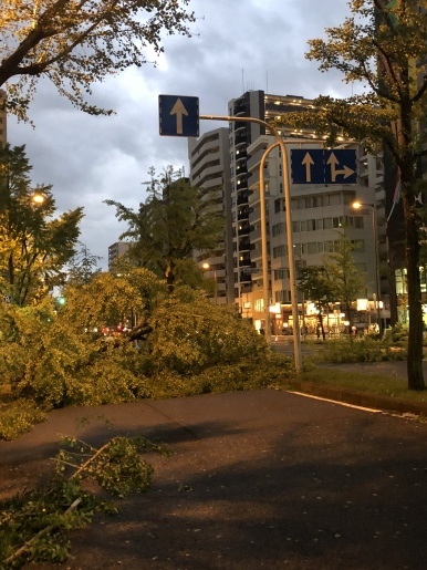 d0067332_08444165.jpeg