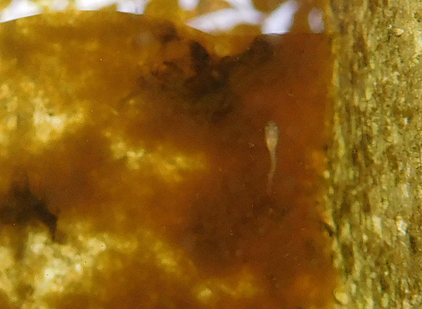e0097534_1792836.jpg