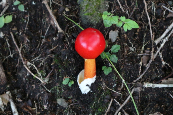 e0272335_16344431.jpg