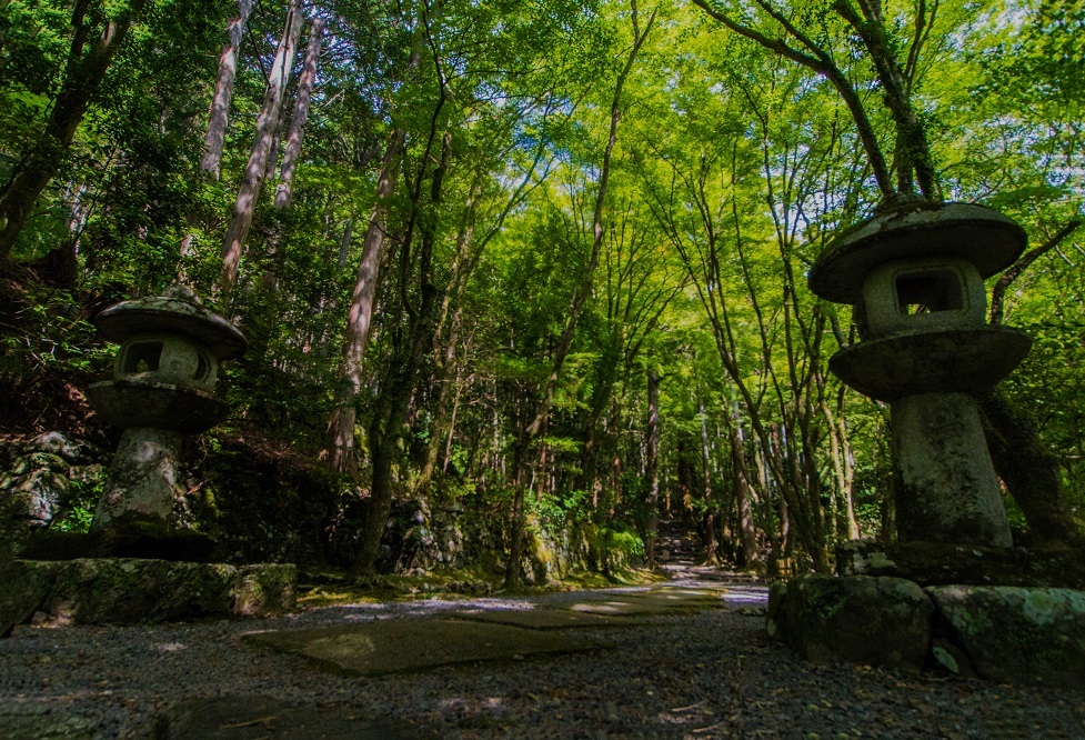 高山寺②山寺を散策_e0363038_11234740.jpg