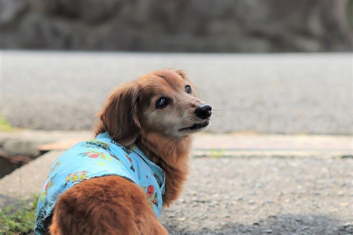 a0143839_00424479.jpg