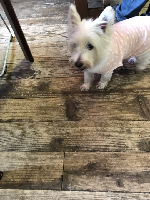 b0369239_10510667.jpeg
