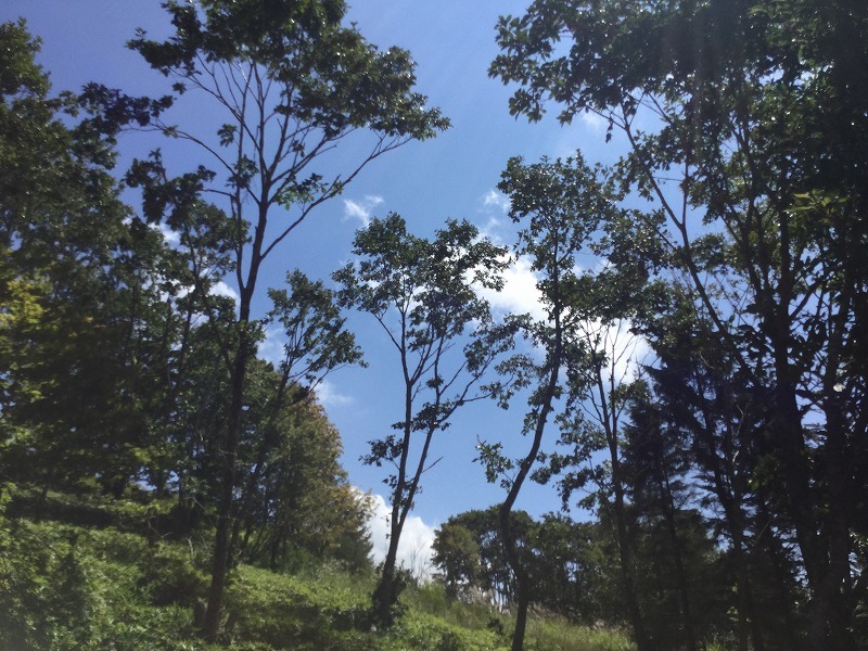 c0201450_15302860.jpg