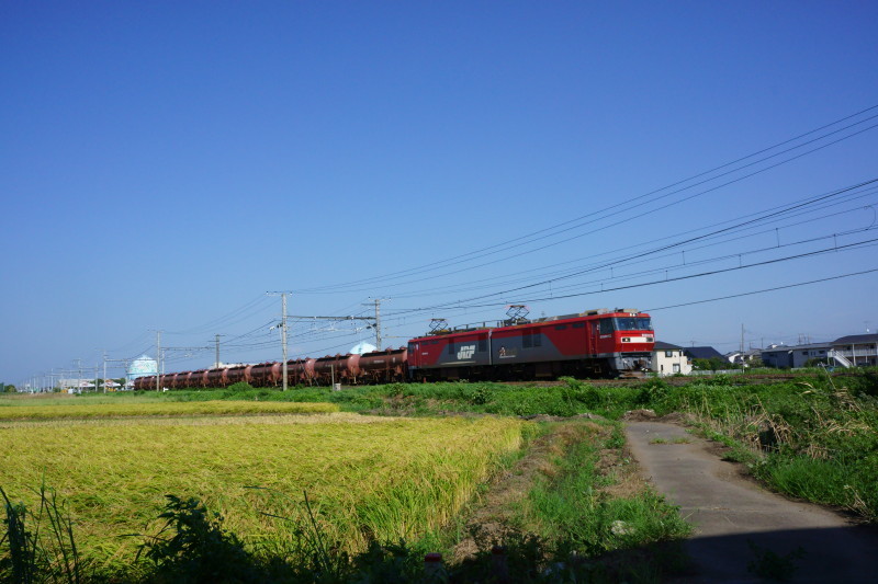a0331055_19095414.jpg