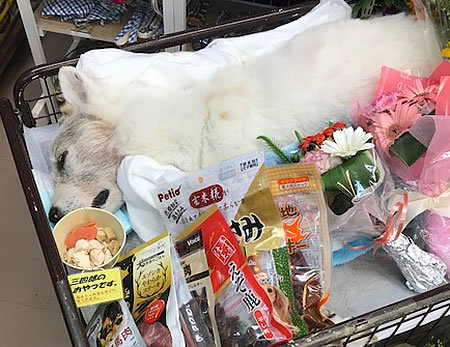 皆さん、ありがとうございました!!_e0362456_18495907.jpg