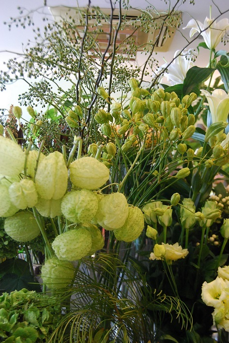 木花は通常通り営業しています_a0201358_12243117.jpg