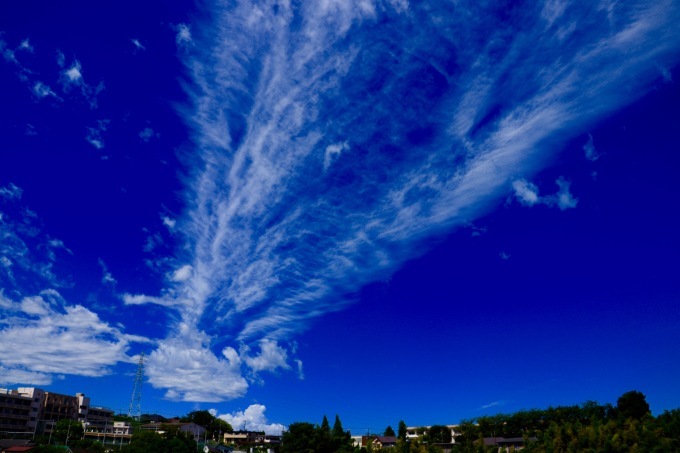 a0248459_14091318.jpg