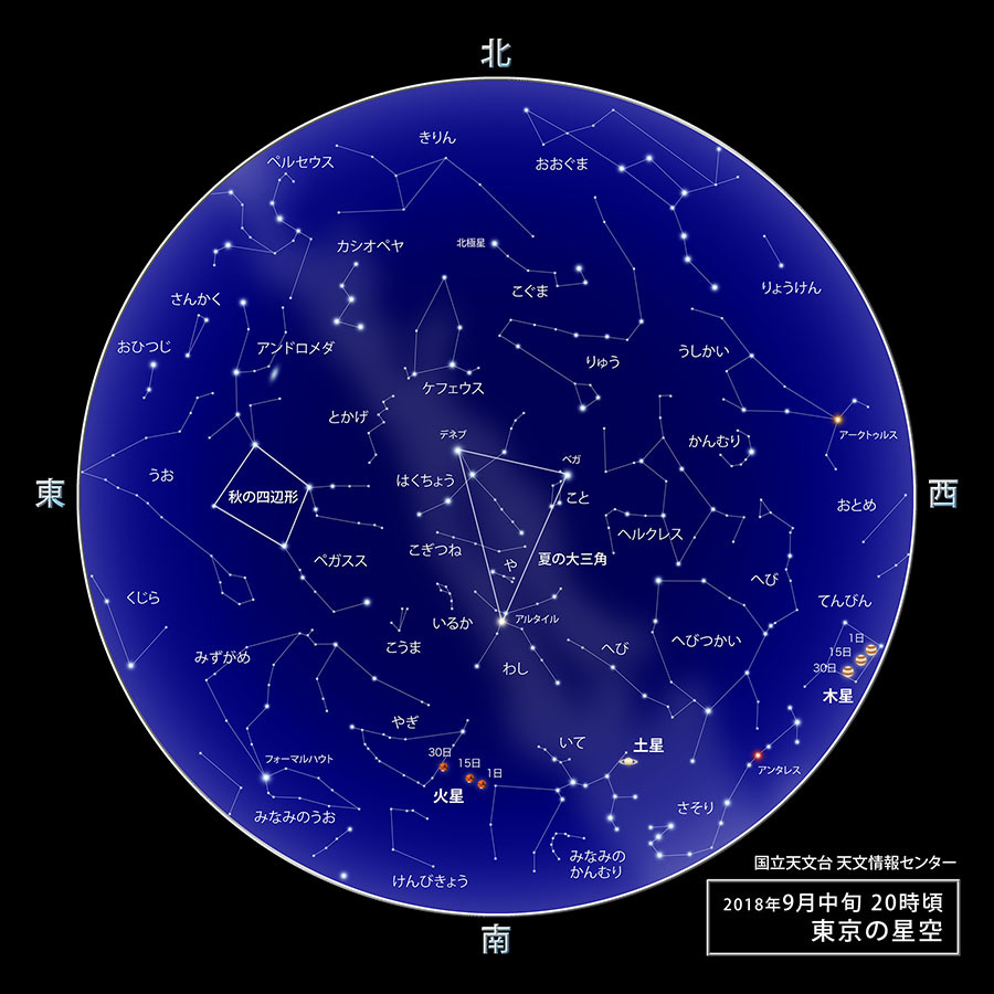 台風一過 。。。 ! !_a0248459_14120116.jpg