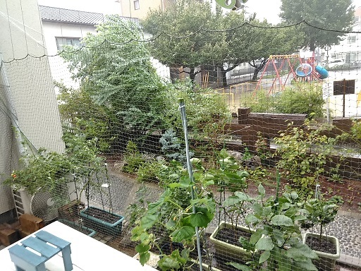 c0172261_05244811.jpg