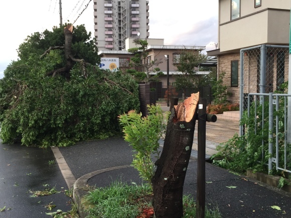 台風21号_d0259962_08515602.jpg