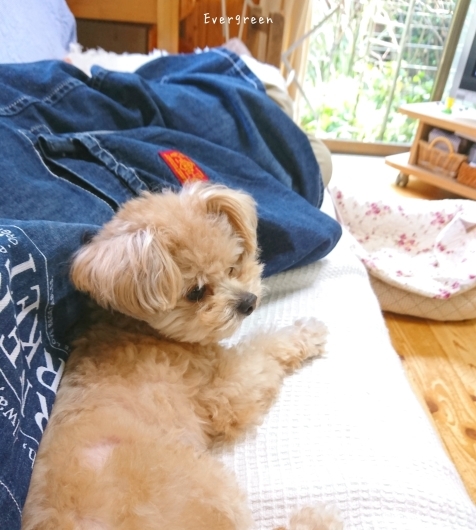 9/5(水) 台風去って...🌀_d0362666_15430383.jpg